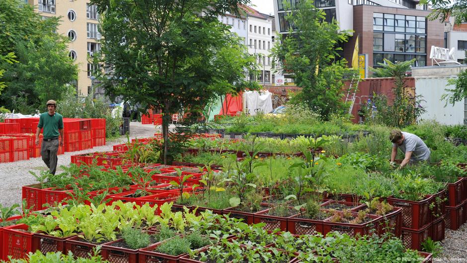 Urban Gardening: Die grüne Revolution in der Stadt